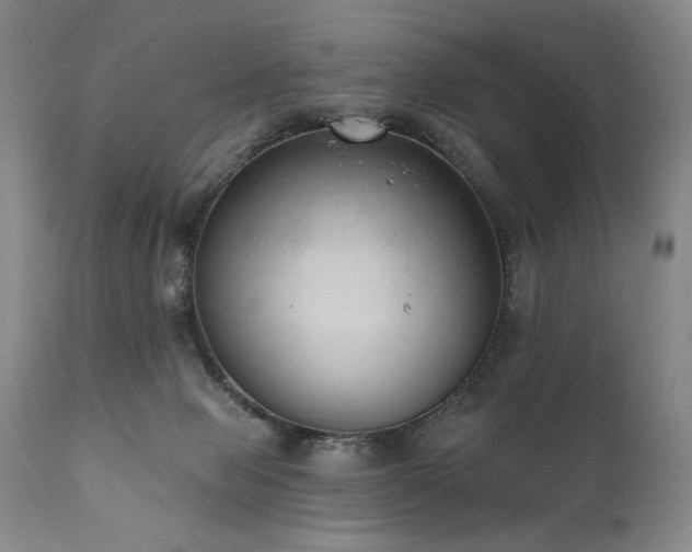 X0000111040077200906251412
