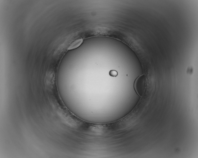 X0000111040079200906251412