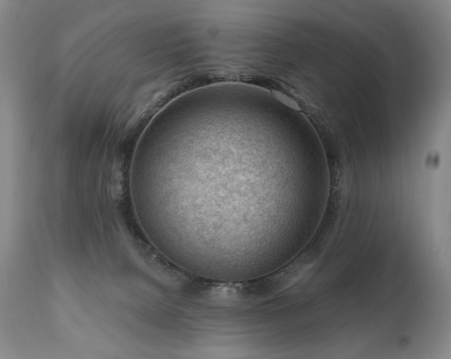 X0000111040080200906251412