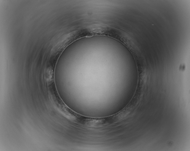 X0000111040081200906251412
