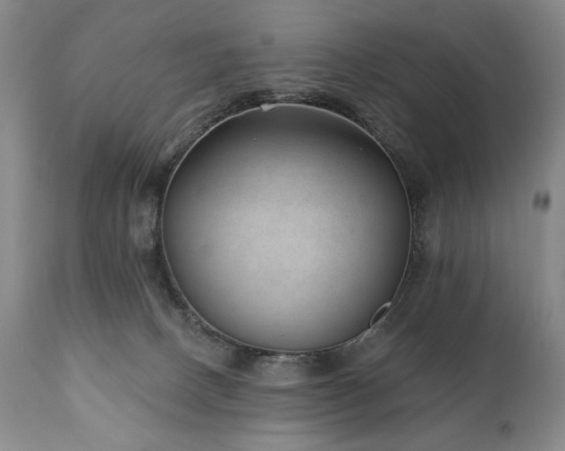 X0000111040082200906251412