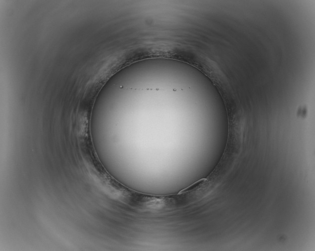 X0000111040083200906251412