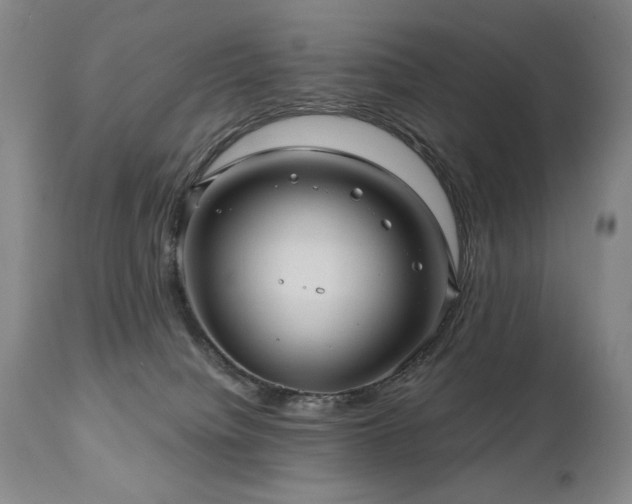X0000111040084200906251412