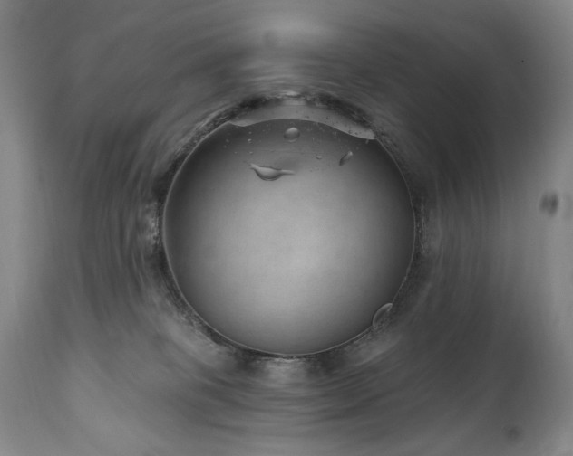 X0000111040085200906251412