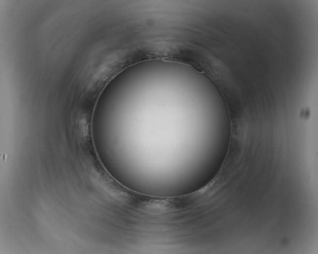 X0000111040086200906251412