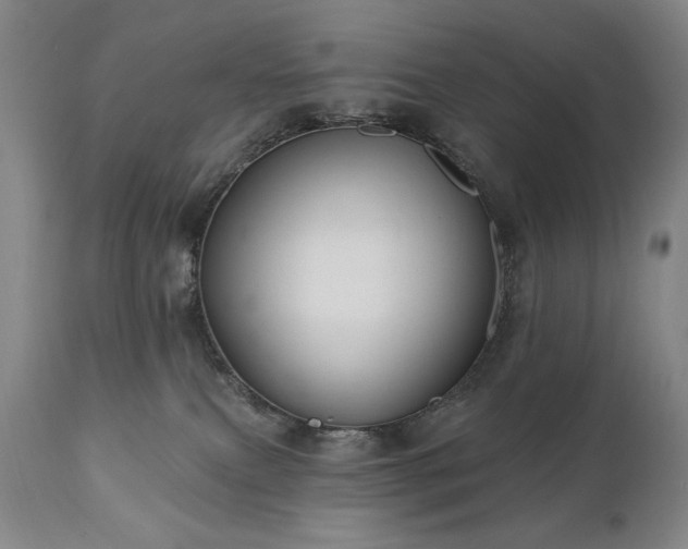 X0000111040087200906251412