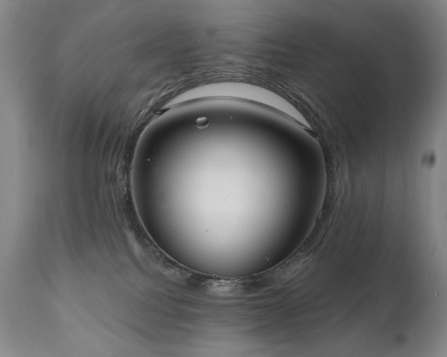 X0000111040088200906251412