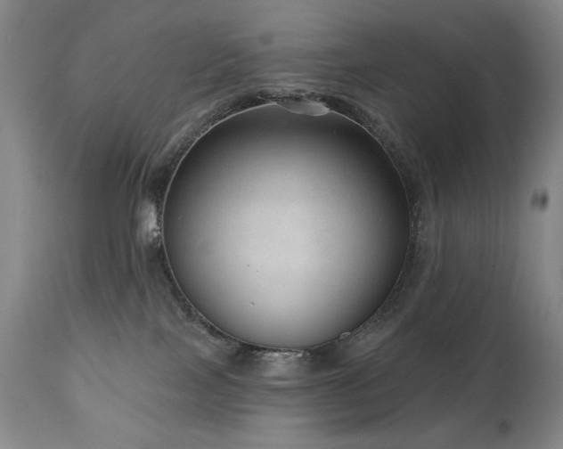 X0000111040089200906251412