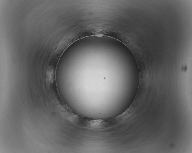 X0000111040090200906251412