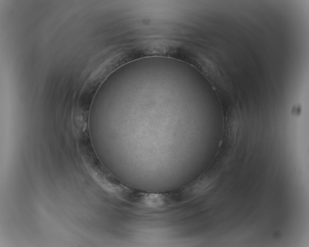 X0000111040091200906251412