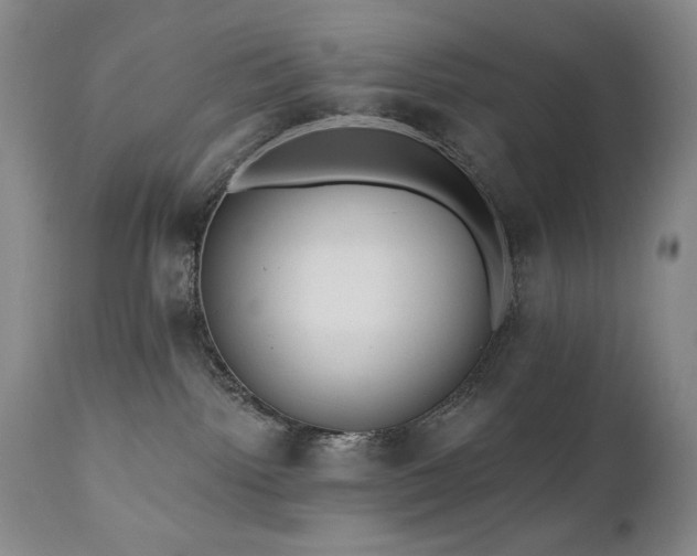 X0000111040092200906251412