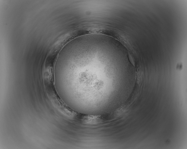 X0000111040093200906251412