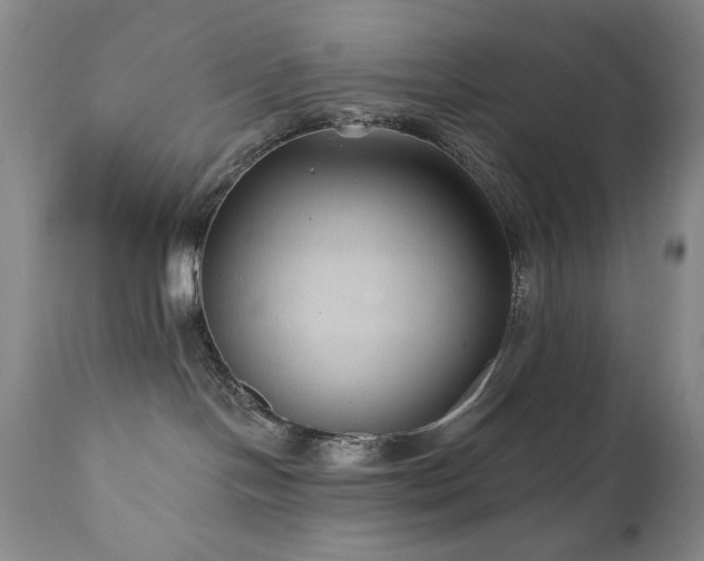 X0000111040094200906251412