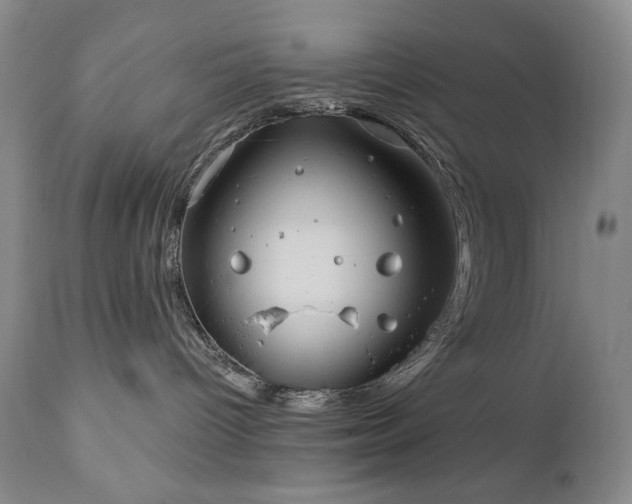 X0000111040096200906251412