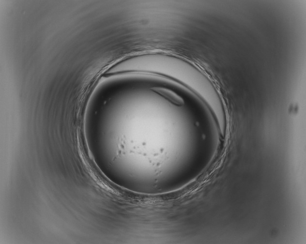 X0000111040097200906251411