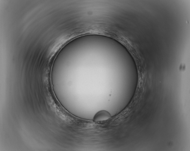 X0000111040098200906251411