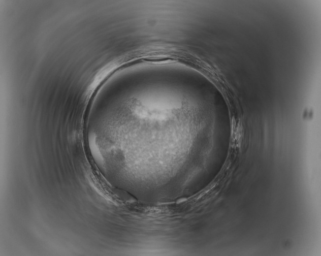 X0000111040099200906251411