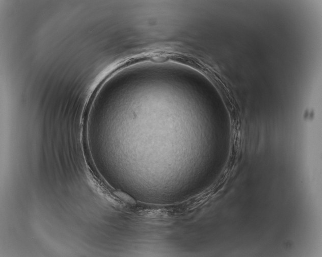 X0000111040100200906251411