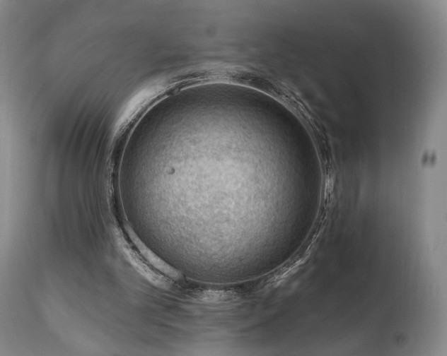 X0000111040101200906251411