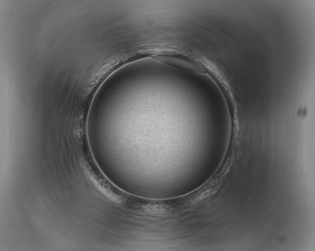 X0000111040105200906251411