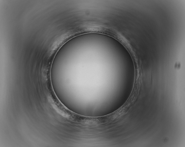 X0000111040106200906251411