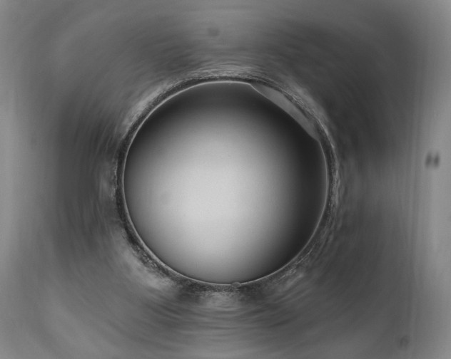 X0000111040107200906251411