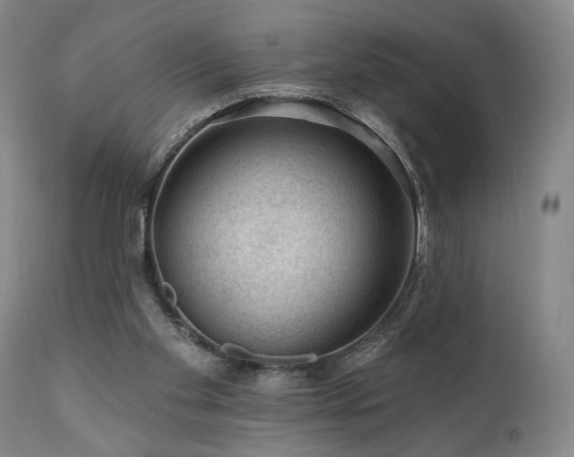 X0000111040109200906251411