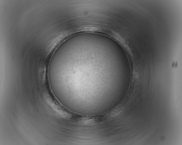 X0000111040110200906251411