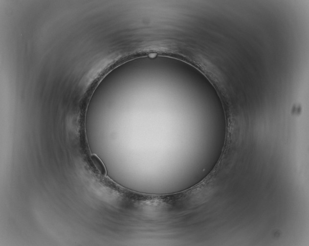 X0000111040112200906251411