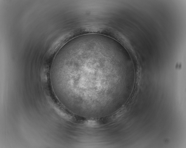 X0000111040114200906251411