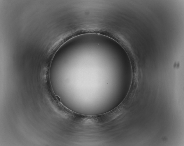 X0000111040115200906251411