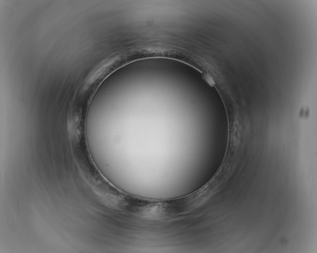 X0000111040116200906251411