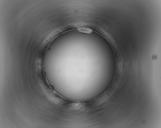 X0000111040117200906251411