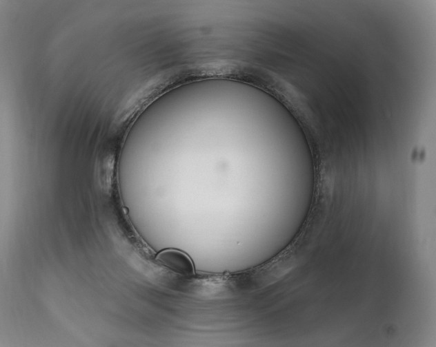 X0000111040118200906251411