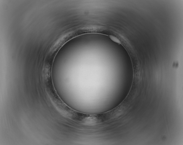 X0000111040119200906251411