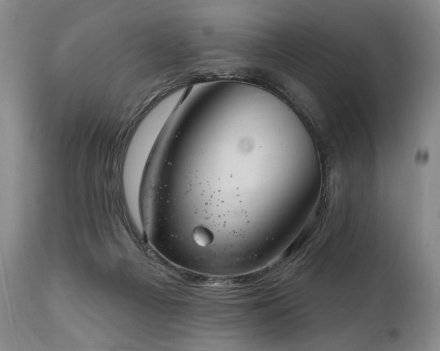 X0000111040121200906251411