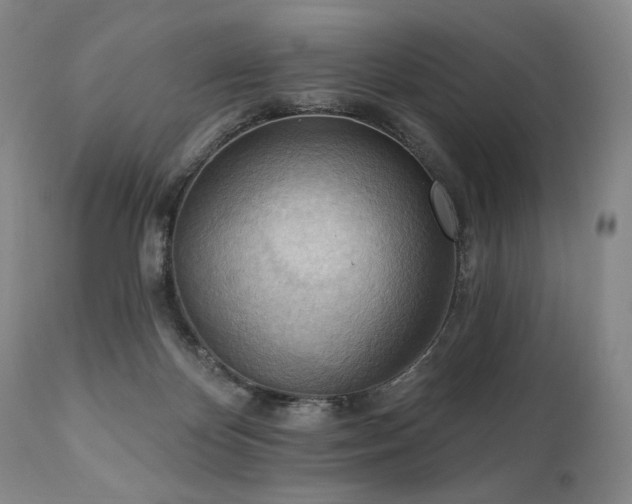 X0000111040124200906251411