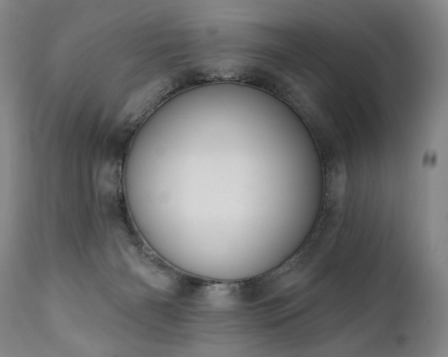 X0000111040126200906251411