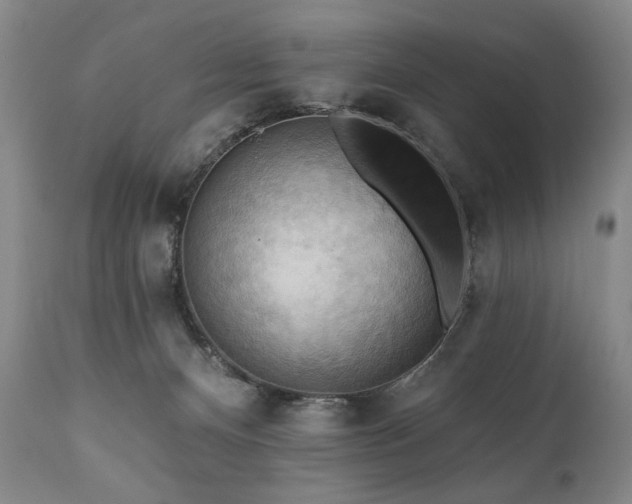 X0000111040128200906251411