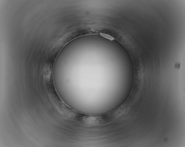 X0000111040129200906251411
