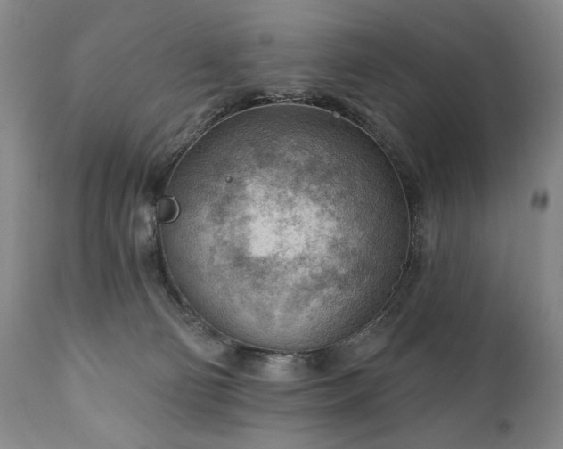 X0000111040130200906251411