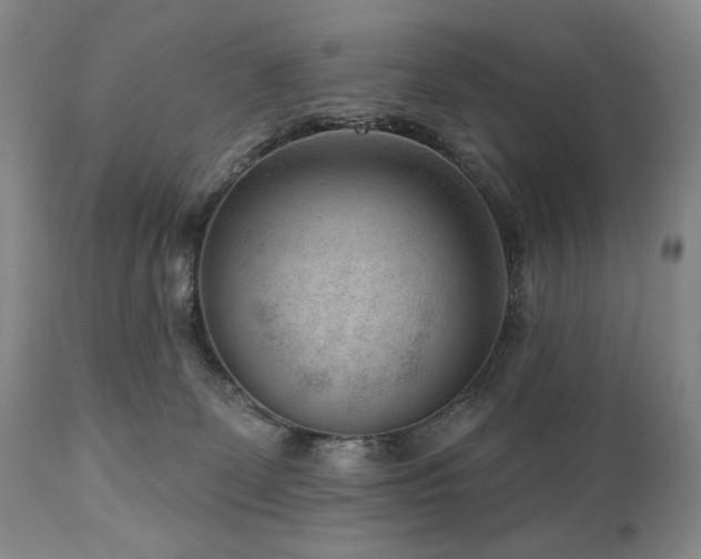 X0000111040131200906251411