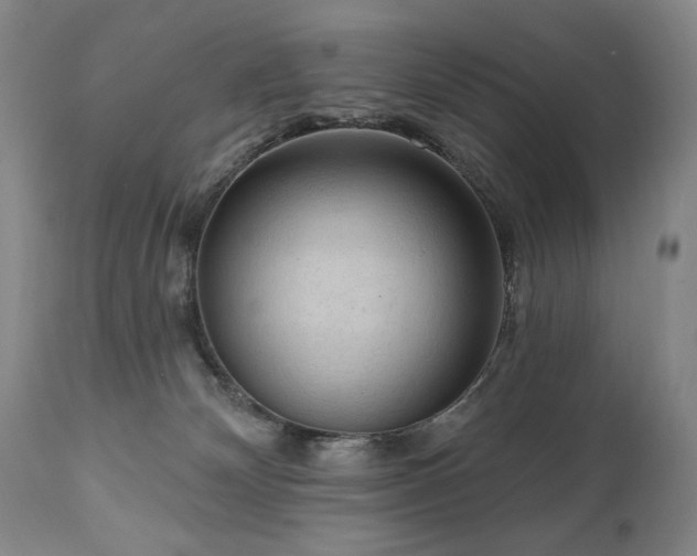 X0000111040132200906251411