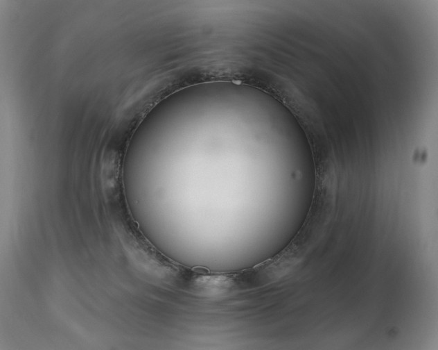 X0000111040133200906251411