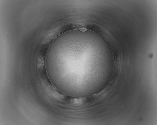 X0000111040134200906251411