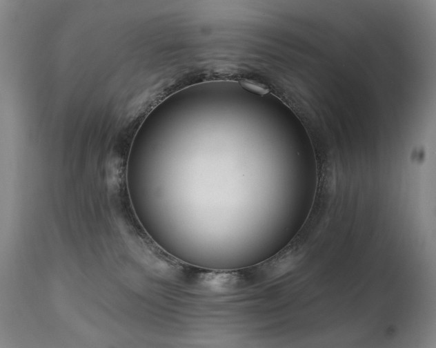X0000111040135200906251410