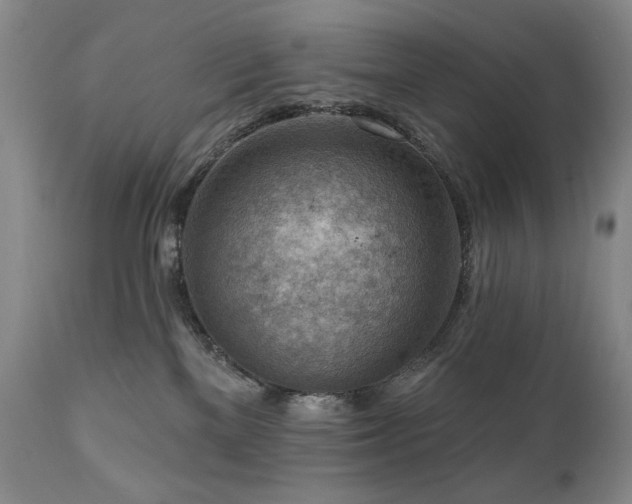 X0000111040137200906251410
