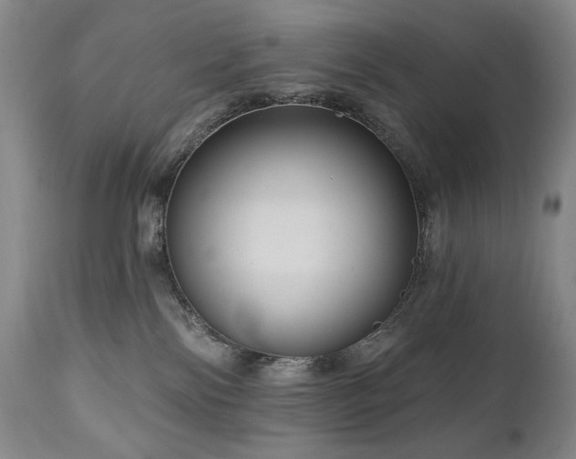 X0000111040138200906251410