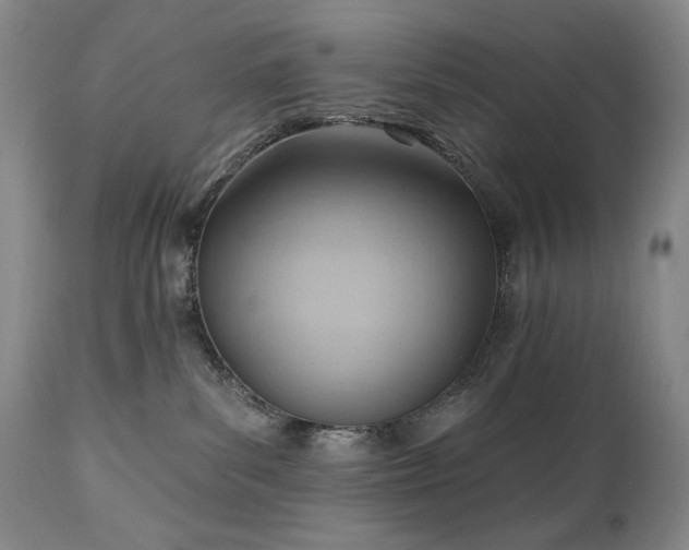 X0000111040139200906251410