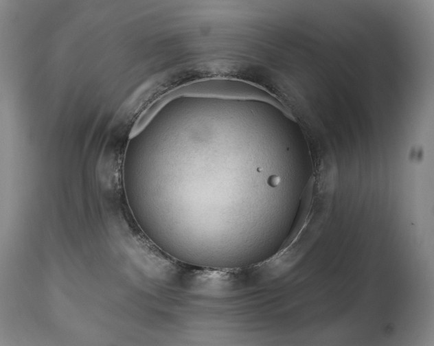 X0000111040140200906251410